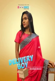 Delivery Boy 2024 S01E01 BoomEX Web Series Download (2024)