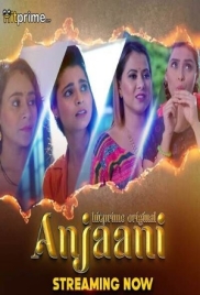 Anjaani 2024 HitPrime S01E01T04 Web Series Download (2024)