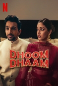Dhoom Dhaam 2025 Hindi Movie HDRip Download